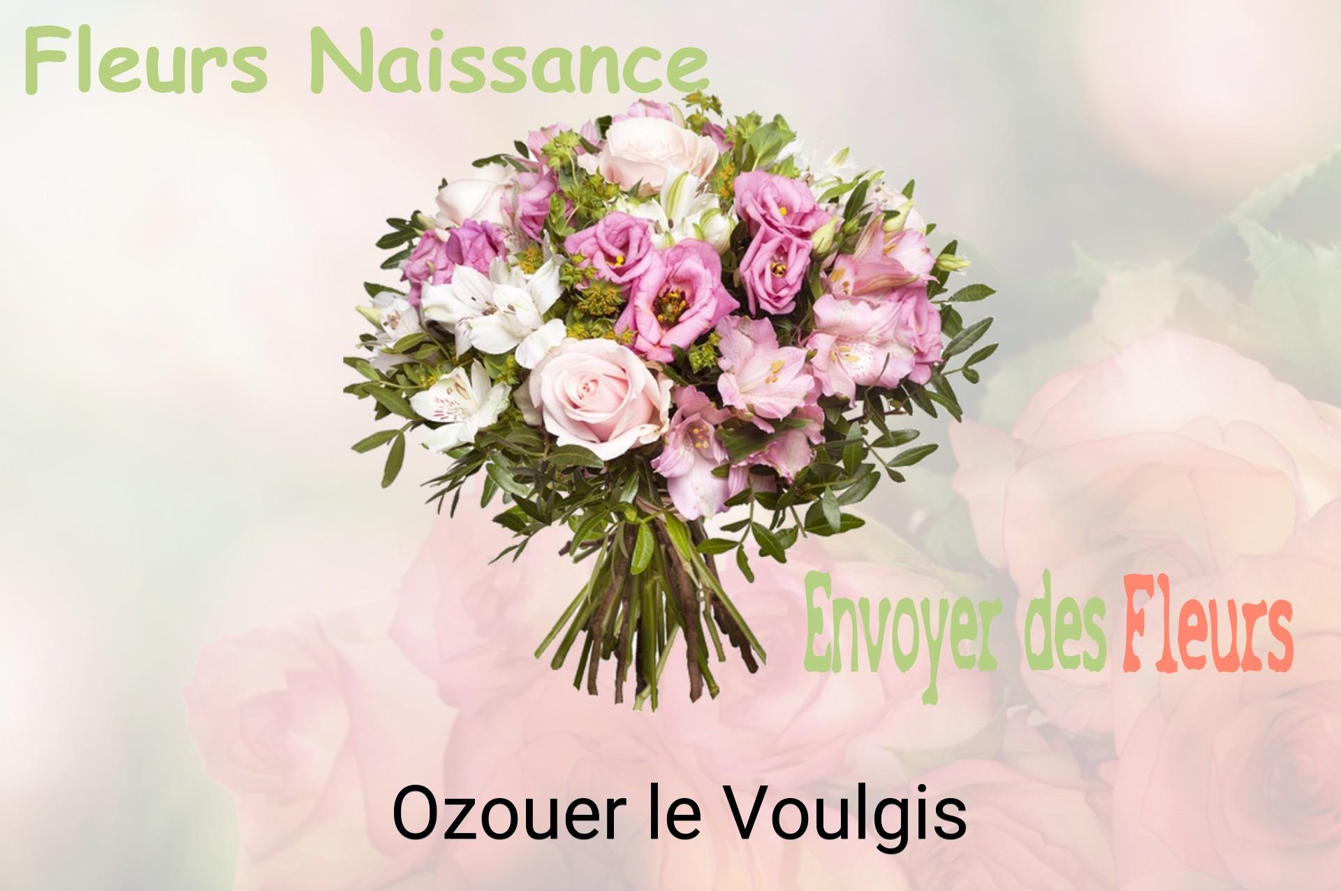 Bouquet de fleurs de naissance livré à Ozouer-le-Voulgis